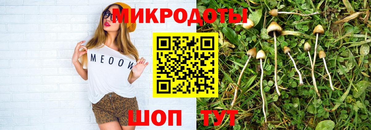 Псилоцибиновые грибы ЛСД  Вход с VPN  Псилоцибиновые грибы Cubensis  Волгодонск 